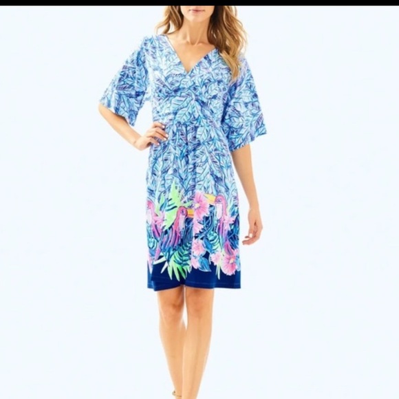 Lilly Pulitzer Parigi Dress Bennett Blue Lets Mango Size XL - Picture 2 of 10